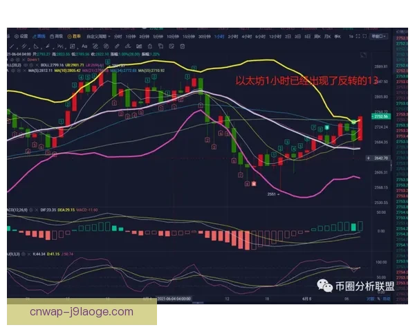 亚冠淘汰赛关键走势分析与战术调整策略探讨